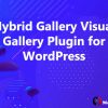 Hybrid Gallery Visual Gallery Plugin for WordPress